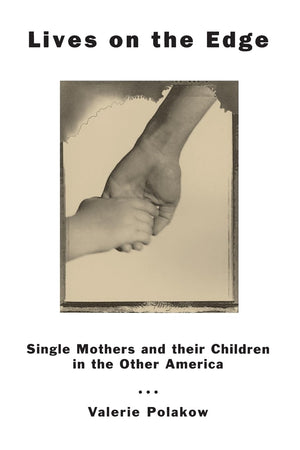 Lives On The Edge: Single Mothers And Their Children In The Other America,Used