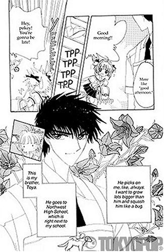 Cardcaptor Sakura: Master of the Clow, Book 6,New