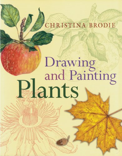 Drawing and Painting Plants,Used