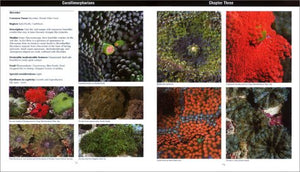 Invertebrates: A Quick Reference Guide (Oceanographic Series),New