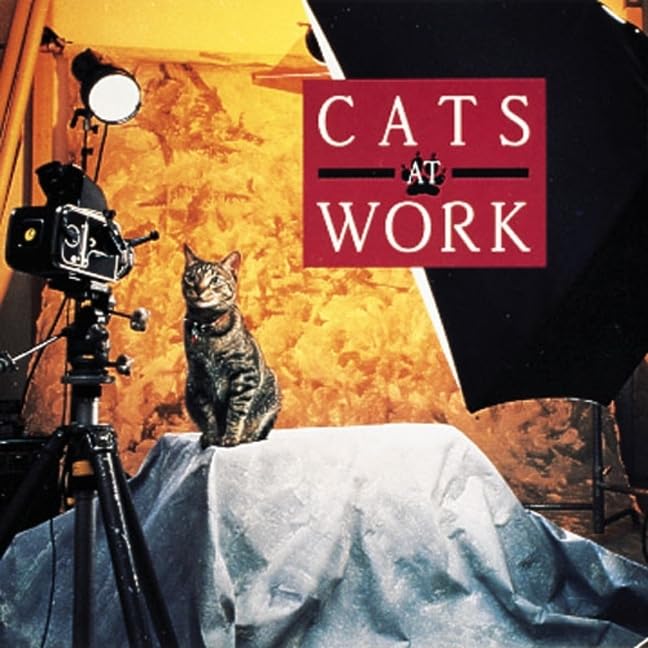 Cats at Work,New