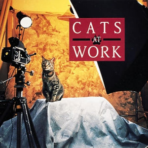 Cats at Work,Used