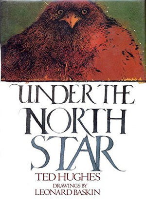 Under the North Star,Used