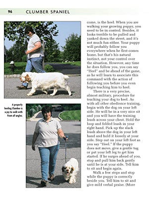 Clumber Spaniel (Comprehensive Owner's Guide),Used
