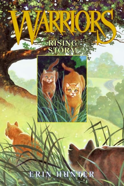 Rising Storm (Warriors, Book 4),Used