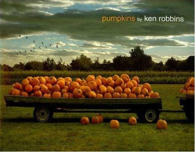 Pumpkins,Used