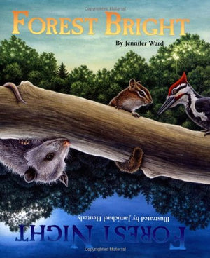 Forest Bright, Forest Night,Used