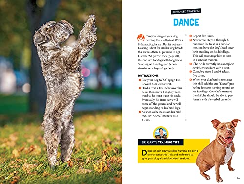 Fetch! A How to Speak Dog Training Guide,Used