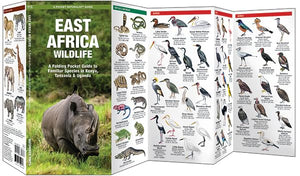 East Africa Wildlife: A Folding Pocket Guide to Familiar Species in Kenya, Tanzania & Uganda (Nature Observation International),New