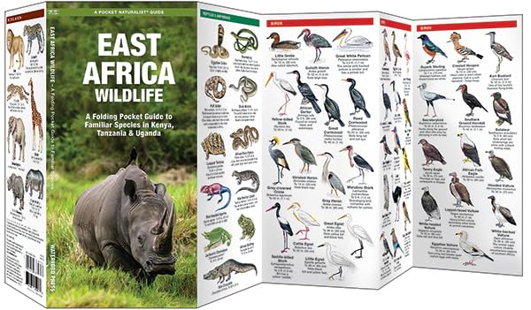 East Africa Wildlife: A Folding Pocket Guide to Familiar Species in Kenya, Tanzania & Uganda (Nature Observation International),New