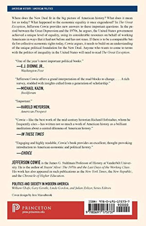 The Great Exception: The New Deal And The Limits Of American Politics (Politics And Society In Modern America, 128),Used