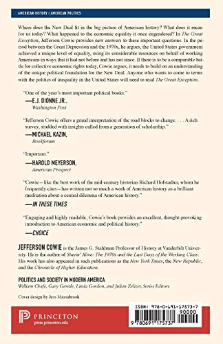 The Great Exception: The New Deal And The Limits Of American Politics (Politics And Society In Modern America, 128),Used