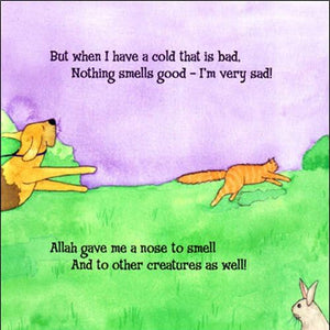 Allah Gave Me a Nose to Smell (Allah the Maker),Used