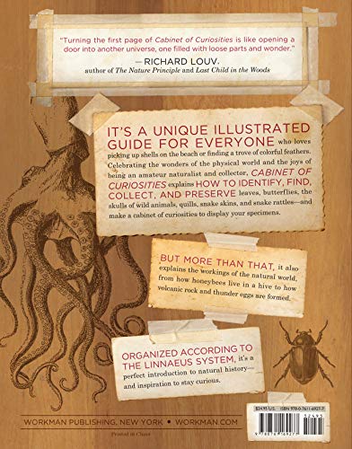 Cabinet Of Curiosities: Collecting And Understanding The Wonders Of The Natural World
