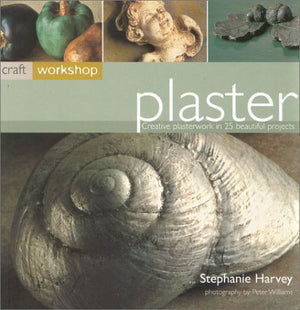 Craft Workshop: Plaster,Used