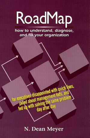 Roadmap: How To Understand, Diagnose, And Fix Your Organization-used
