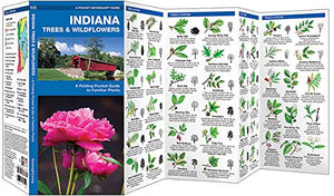 Indiana Trees & Wildflowers: A Folding Pocket Guide to Familiar Plants (Wildlife and Nature Identification),Used