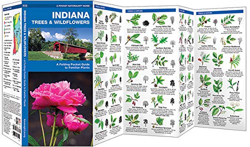 Indiana Trees & Wildflowers: A Folding Pocket Guide to Familiar Plants (Wildlife and Nature Identification),Used