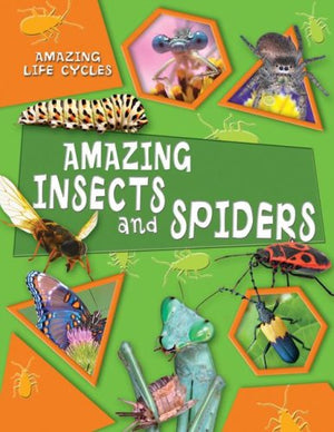 Amazing Insects and Spiders (Amazing Life Cycles),Used