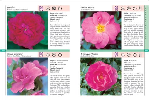 Roses (A Firefly Guide),Used