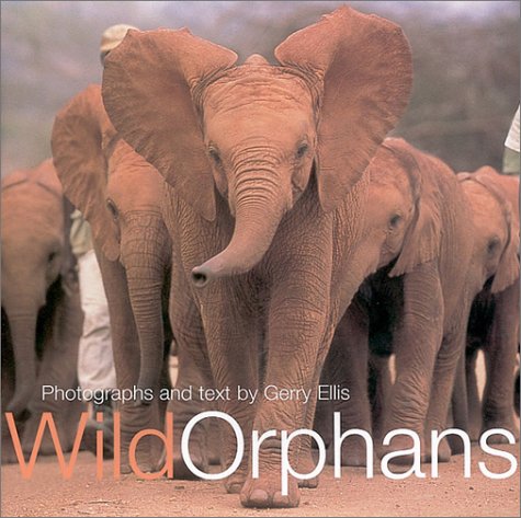 Wild Orphans,Used