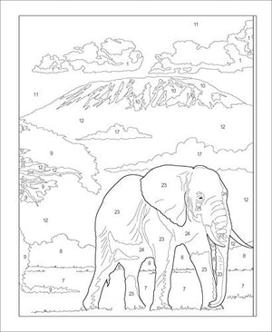 Large Print Calm ColorbyNumber