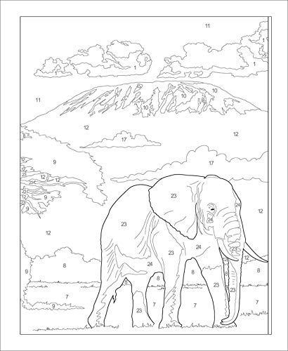 Large Print Calm ColorbyNumber