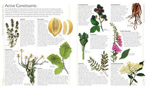Encyclopedia Of Herbal Medicine-used