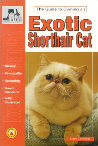 The Guide to Owning an Exotic Shorthair Cat,Used