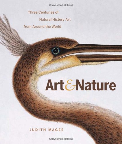 Art and Nature: Three Centuries of Natural History Art from Around the World,Used