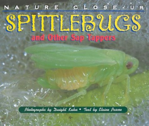 Nature CloseUp  Spittlebugs and Other Sap Tappers,Used