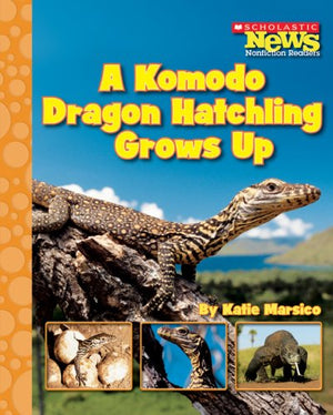 A Komodo Dragon Hatchling Grows Up (Scholastic News Nonfiction Readers: Life Cycles),Used