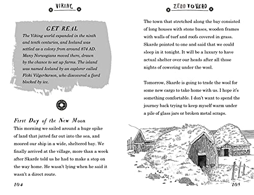 Zero to Hero: Viking,Used