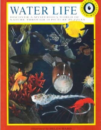 Water Life (Nature's Hidden Worlds),Used