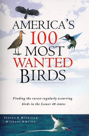Americas 100 Most Wanted Birds: Finding the Rarest Regularly Occuring Birds in the Lower 48 States,Used