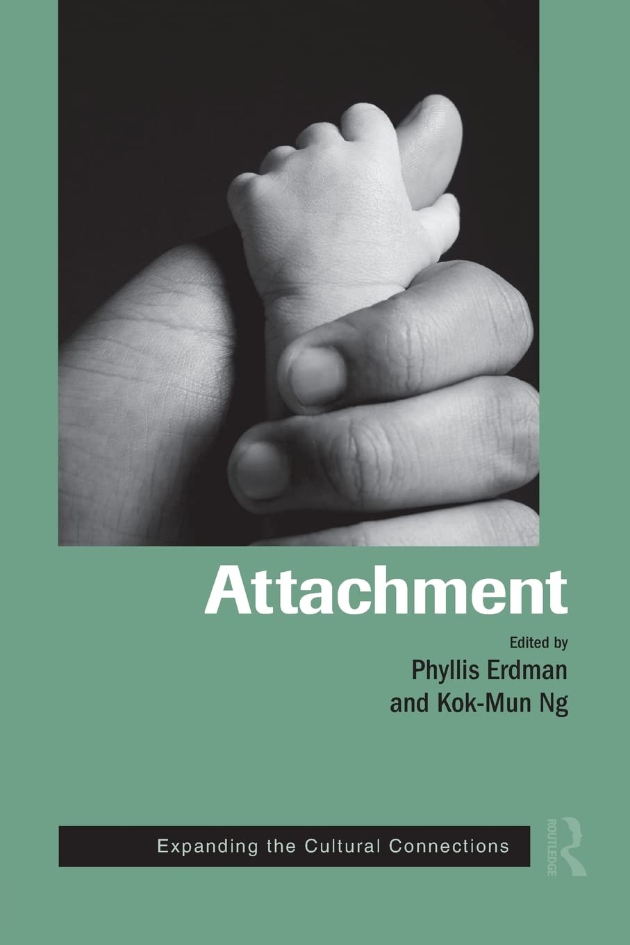 Attachment: Expanding the Cultural Connections (Routledge Series on Family Therapy and Counseling),Used