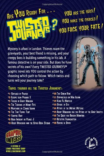 Detective Frankenstein: Book 17 (Twisted Journeys ),Used