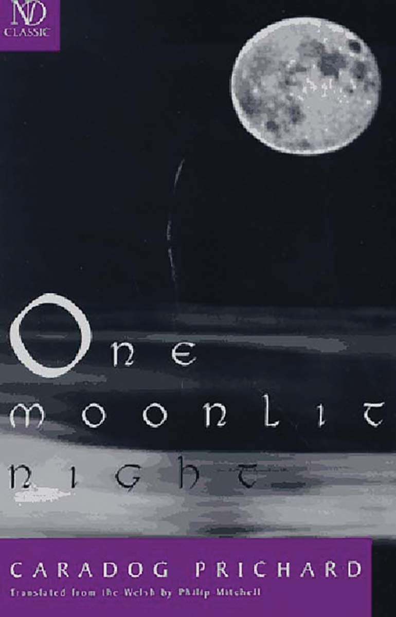 One Moonlit Night: Novel (New Directions Classic),New