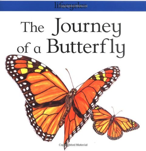 The Journey of a Butterfly (Lifecycles),Used