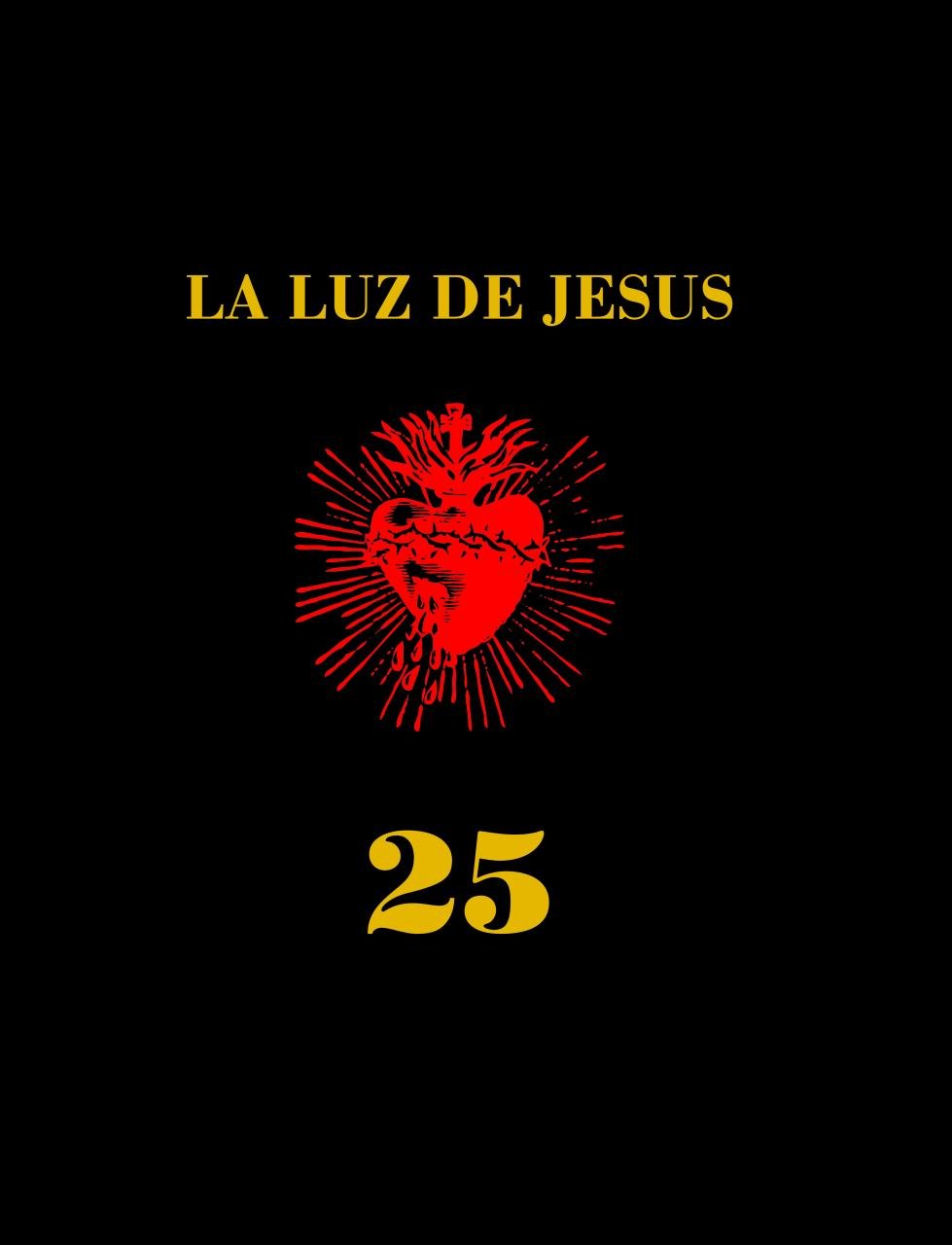 La Luz De Jesus 25: The Little Gallery That Could,Used