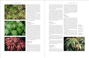 Timber Press Japanese Maples: Complete Guide to Selection and Cultivation, 4th Edition