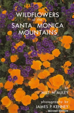 Wildflowers Of The Santa Monica Mountains