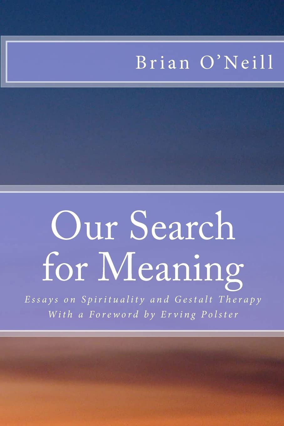 Our Search For Meaning: Essays On Spirituality And Gestalt Therapy,Used