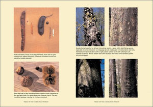 Trees of the Carolinian Forest: A Guide to Species, Their Ecology and Uses,Used