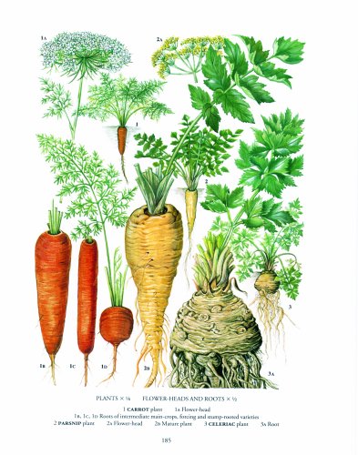 The New Oxford Book Of Food Plants,Used