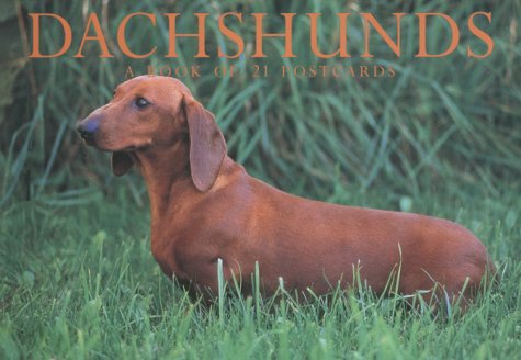 Dachshunds,Used