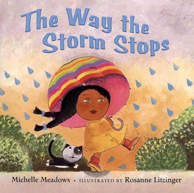 The Way the Storm Stops,Used
