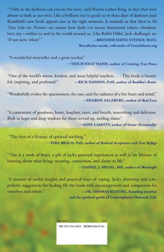 No Time Like the Present: Finding Freedom, Love, and Joy Right Where You Are,Used
