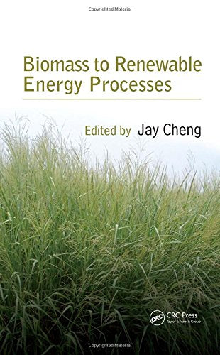 Biomass To Renewable Energy Processes