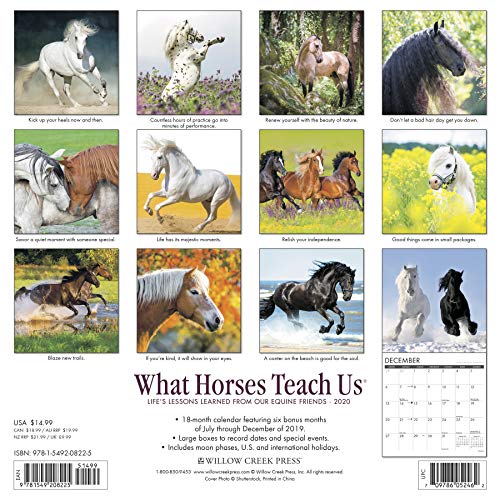 What Horses Teach Us 2020 Wall Calendar,New